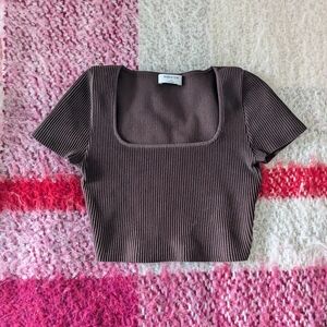 Aritzia Babaton brown sculpt knit top